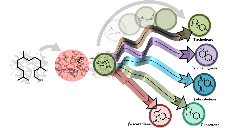 Chemical Control in the Battle against Fidelity in Promiscuous Natural Product Biosynthesis: The Case of Trichodiene Synthase