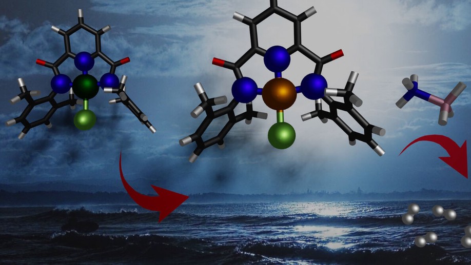 Modelling an Fe-III High-Valent Pincer-type Transition Metal Complex for Dehydrogenation of Ammonia-Borane
